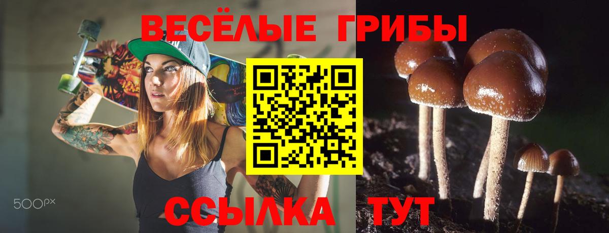 Псилоцибиновые грибы GOLDEN TEACHER  Вход с VPN  Галлюциногенные грибы прущие грибы  Острогожск 